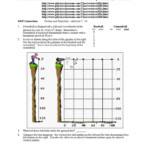 30 Projectile Motion Worksheet Answers Education Template