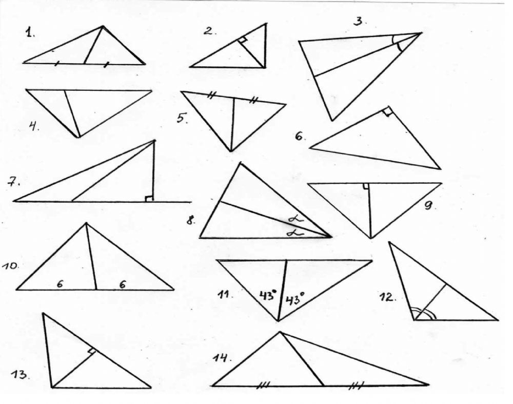 Altitudes Medians And Angle Bisectors Of A Triangle Worksheet