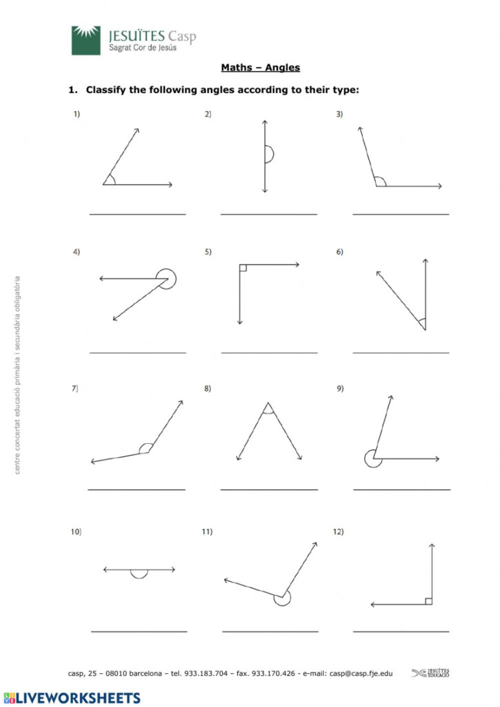 Classification And Measurement Of Angles Worksheet