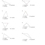 Classifying Triangles By Angles Worksheet Db excel