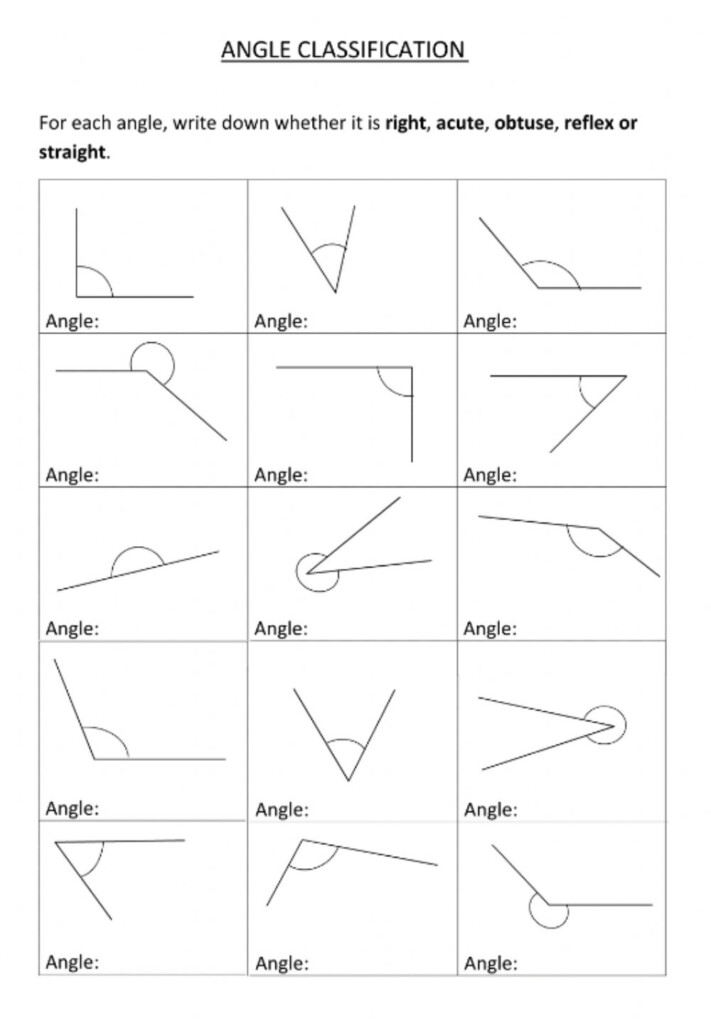 Identifying Angles Activity