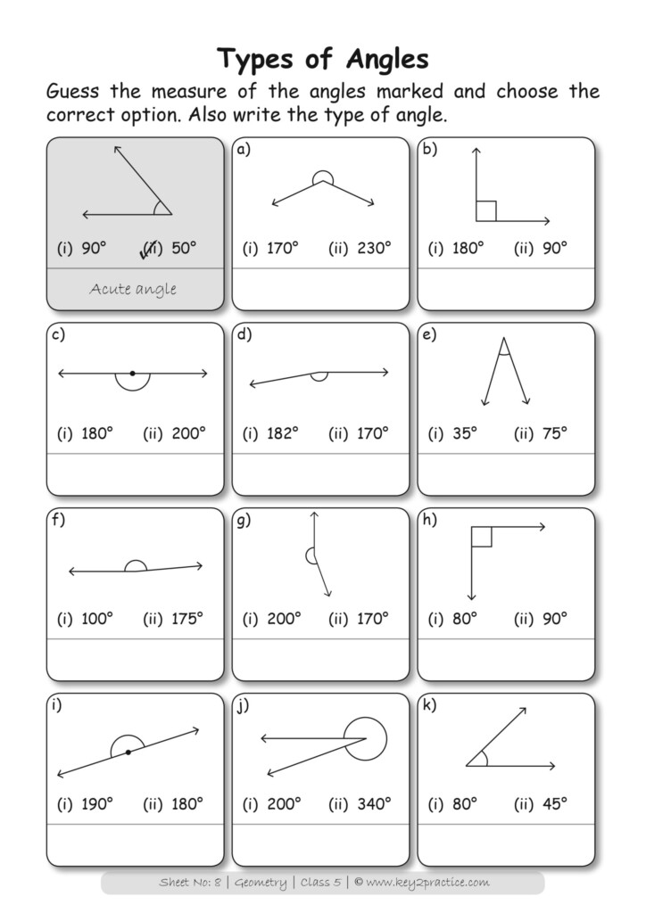 Types Of Angles Worksheets Grade 5 Maths Key2practice Workbooks