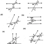 Selina Concise Mathematics Class 7 ICSE Solutions Chapter 14 Lines And