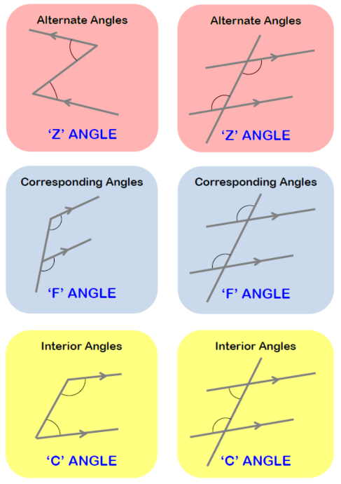 Angles And Parallel Lines Worksheet