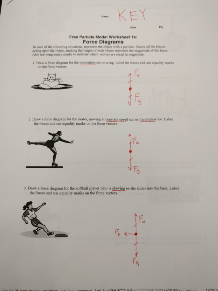Force Diagrams Answer Key
