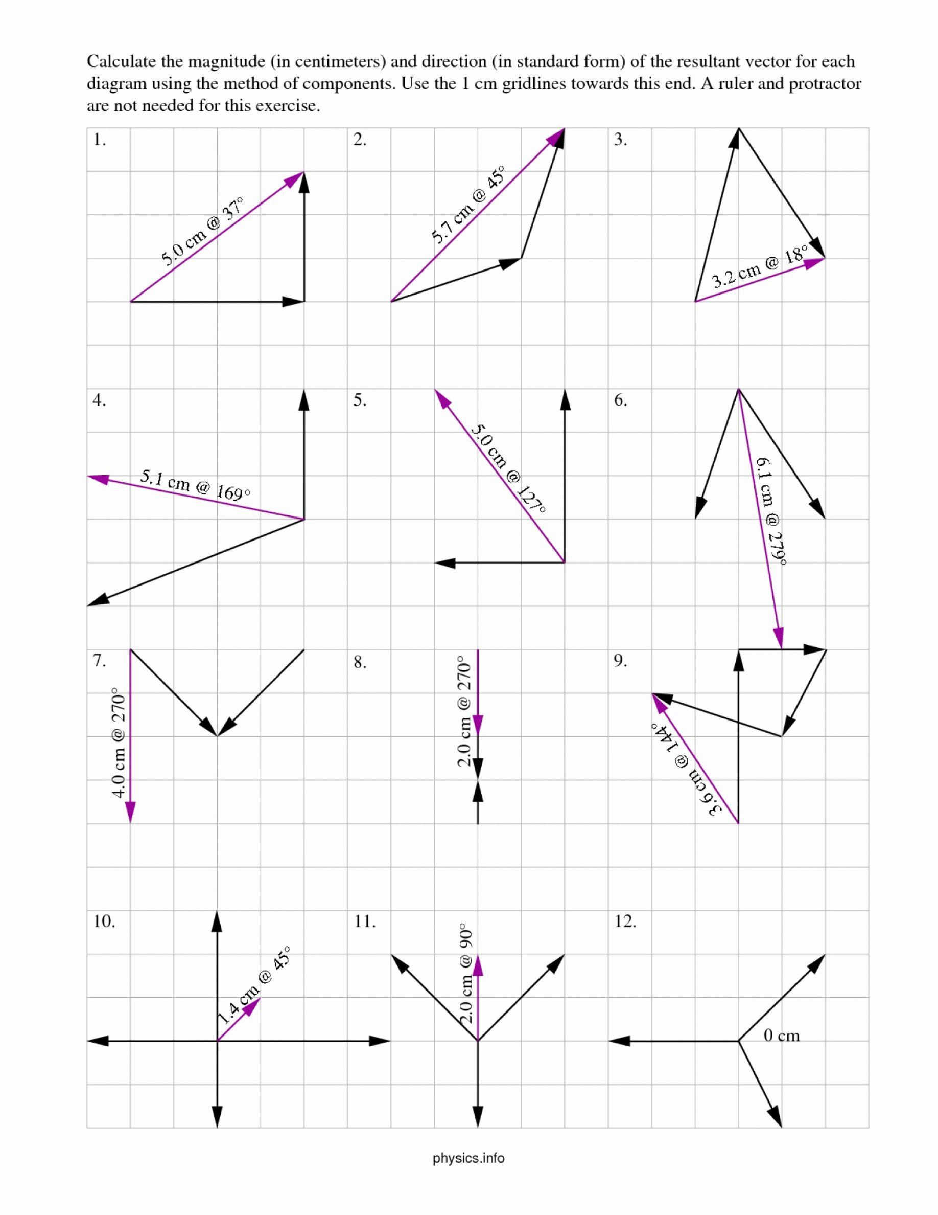 Introduction To Vectors Worksheet Answers