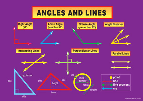 Lines Angles And Triangles Worksheet Geometry If8764 Answers