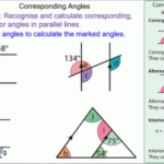 Alternate Corresponding And Co Interior Angles Worksheet