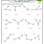 Types Of Angles Worksheet Answer Key Askworksheet