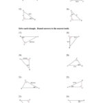 All About Angles Review Worksheet Answers Angleworksheets