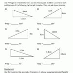 Area Of Right Triangle Worksheets