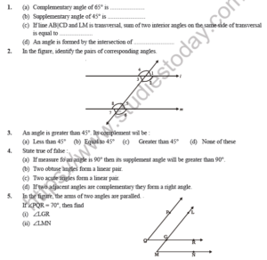 Lines and angles class 7 worksheet with answers angleworksheets