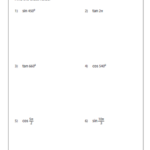 Double And Half Worksheet