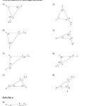 The Exterior Angle Theorem Worksheet Answer Key With Work