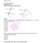 Vertical Angles Worksheet With Answers
